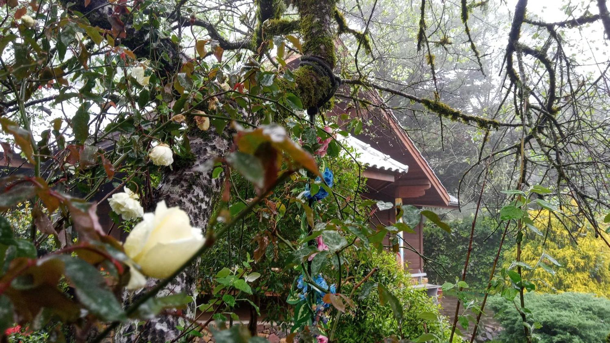 Chale Martinho Holiday home