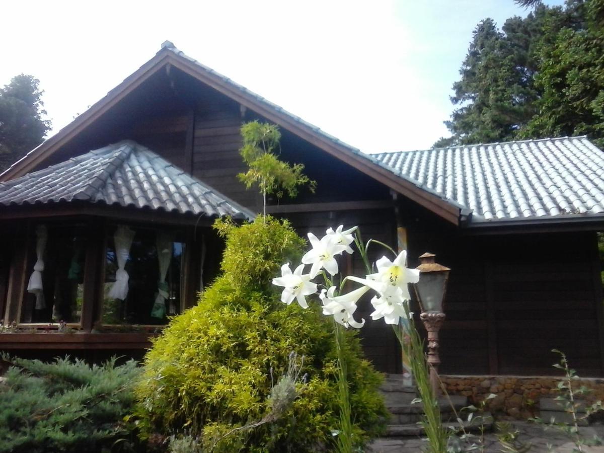 Martinho * Gramado