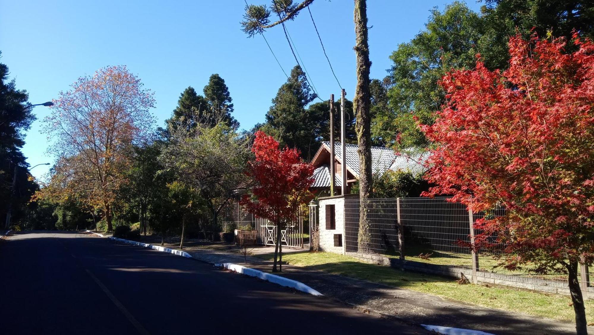 Martinho Gramado